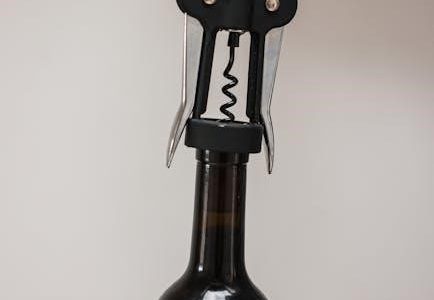 manual bottle filler