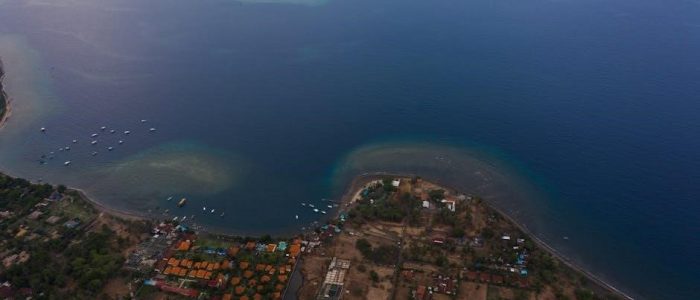 manual power pole for boats