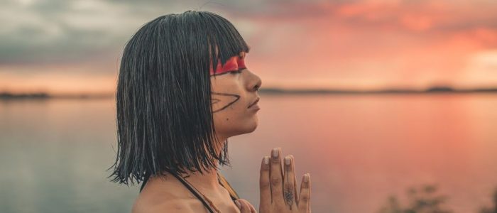 american indian spirit guide